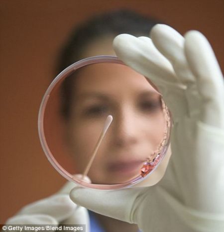 Biotechnology: Scientists are approaching the ultimate goal of successfully placing laboratory test tube meat on the commercial market