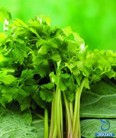 Make full use of resources Apple skin care celery leaves can be detoxified