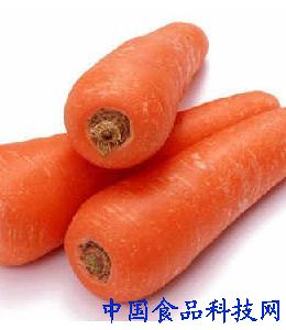 carrot