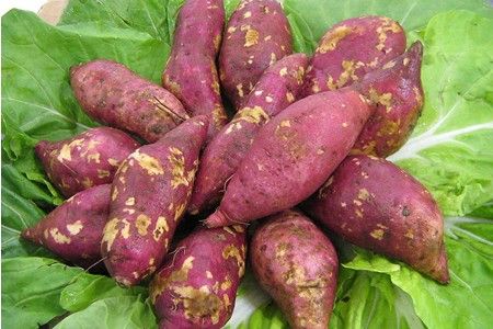 sweet potato