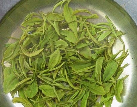 Rizhao Green Tea