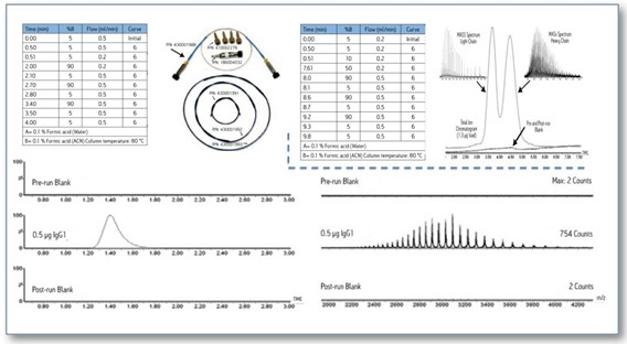 Analysis of intact molecular weight of proteins using BiopharmaLynx software
