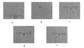 Figure 4 Microscopic visible photos of 5 groups of emulsions with different DMPA content