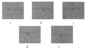 Figure 5 Microscopic visible photos of 5 groups of emulsions with different TMP contents