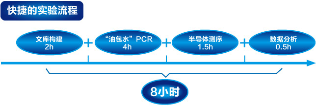 3730XL and Ion Torrent sequencing services-faster and better service