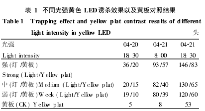 Different light intensity yellow LED trapping effect and yellow plate control results