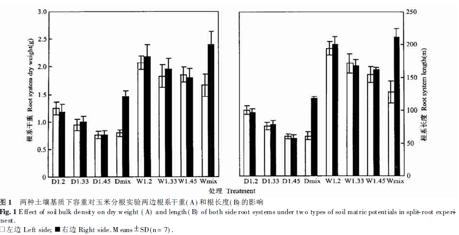 Effect of Soil Bulk Density under Two Kinds of Soil Substrates on Root Dry Weight (A) and Root Length (B) of Both Sides of Corn Rooting Experiments