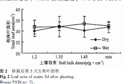 Corn leaf area on the 5th day after transplanting