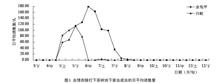 Daily average trapping amount of adult pests of tea pests under the insect report light
