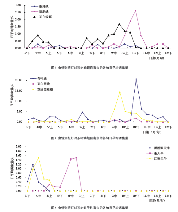 The average trapping amount of insect lepidoptera pests of tea tree by insect report lamp