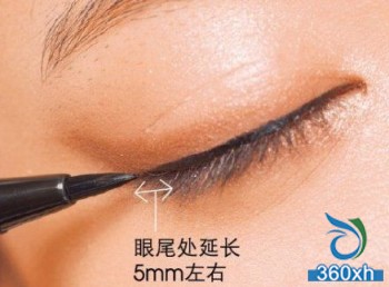 Cat makeup becomes wild