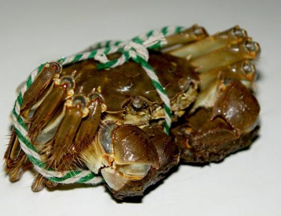 å¤§é—¸èŸ¹