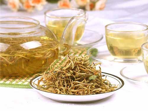 èŠèŠ±é‡‘é“¶èŠ±èŒ¶