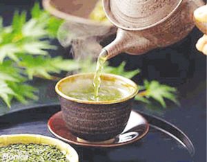 èŒ¶å¶
