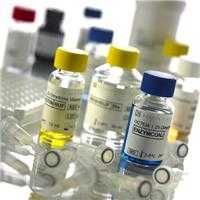 H7N9 test kit is expected to be mass produced this week