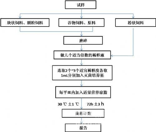 Application of Automatic Colony Counter in the Detection of Total Feed Bacteria