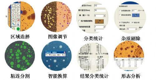 Application of Automatic Colony Counter in the Detection of Total Feed Bacteria