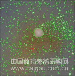 Application of Automatic Colony Counter in the Detection of Total Feed Bacteria