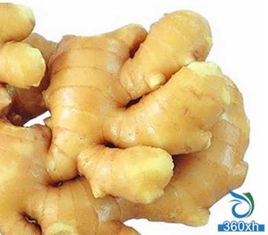 Ginger acne printing method Easy to print without harm