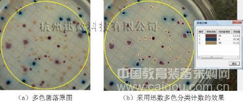 Colony counting_Innovative technology (3): Classification detection of multicolor colonies