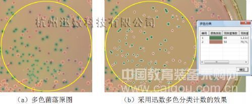 Colony counting_Innovative technology (3): Classification detection of multicolor colonies