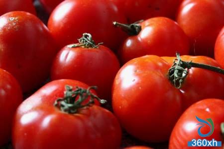 Eat more of these foods to achieve sun protection