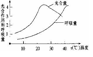 æ¸©åº¦å¯¹å…‰åˆä½œç”¨çš„å½±å“