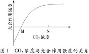 äºŒæ°§åŒ–ç¢³ä¸Žå…‰åˆä½œç”¨å¼ºåº¦