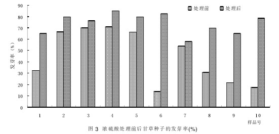 Fig. 3 Germination rate of licorice seeds before and after treatment with concentrated sulfuric acid (%)