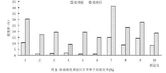 Fig. 5 Mildew rate of licorice seeds before and after treatment with concentrated sulfuric acid (%)