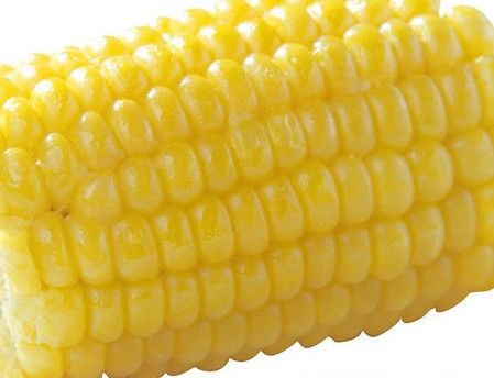 corn