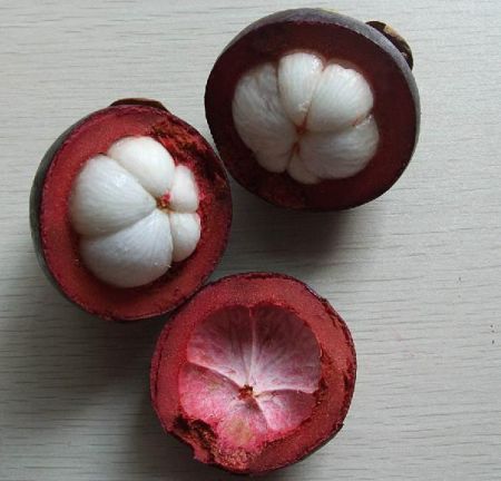 Mangosteen