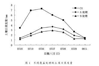 Fig. 1 Daily evaporation of soil by different treatments