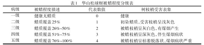 Table 1 Table of Waxiness Level of Huashan Pine Ball