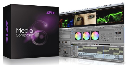 AVID non-editing system