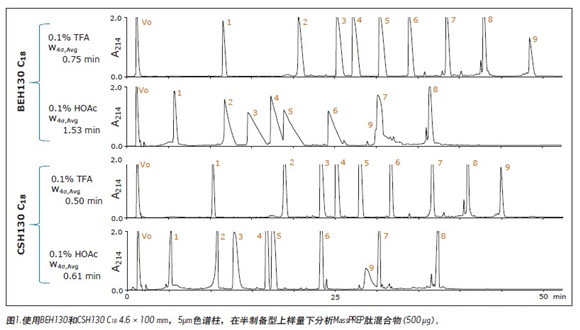 High-capacity study of peptides using hybrid particle C18 column and acetic acid mobile phase