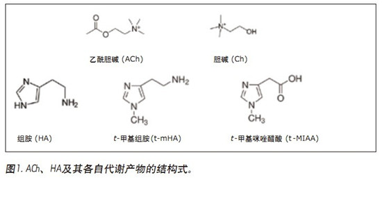 UPLC/MS/MS quantitative assay for the simultaneous quantitative analysis of acetylcholine, histamine and its metabolites in human cerebrospinal fluid (CSF) using CORTECS UPLC HILIC column