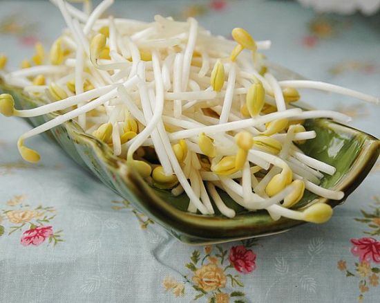 è±†èŠ½