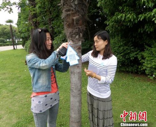 Jiangsu Changzhou college students give trees wooden "ID card" mobile phone scanning can be identified