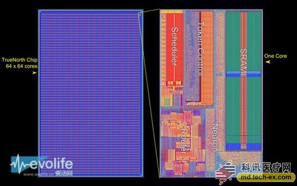 é»‘ç§‘æŠ€ æ­ç§˜ï¼šIBMè¶…çº§ç¥žç»å…ƒèŠ¯ç‰‡æ¨¡æ‹Ÿäººè„‘