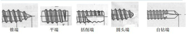 Self-tapping screw end type