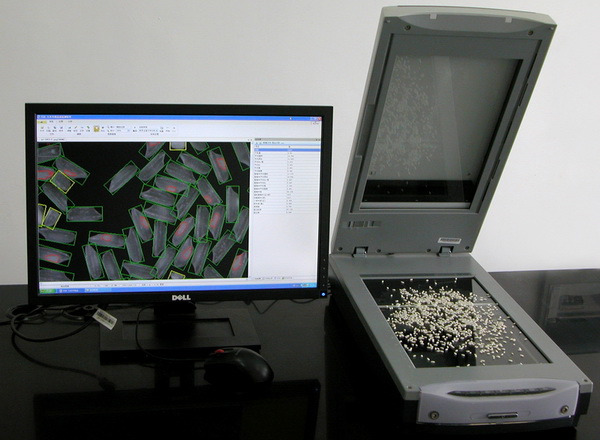 Figure 1. Wanshen SC-E rice appearance quality inspection system