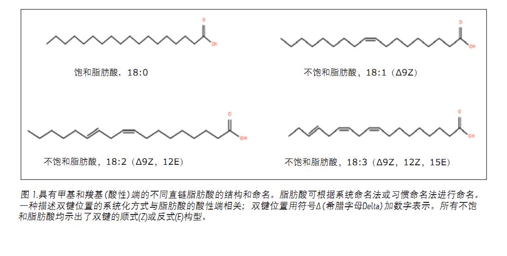 Separation of free fatty acids (FFA) from biological materials is a complex task that must be taken care of to prevent or minimize the effects of hydrolases. After separation is complete, fatty acids can be analyzed by typical chromatographic methods, including gas chromatography/mass spectrometry (GC/MS) and liquid chromatography-tandem mass spectrometry (LC/MS/MS). However, these methods have their own shortcomings.