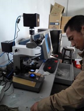 Fluorescence modification of old-fashioned microscope