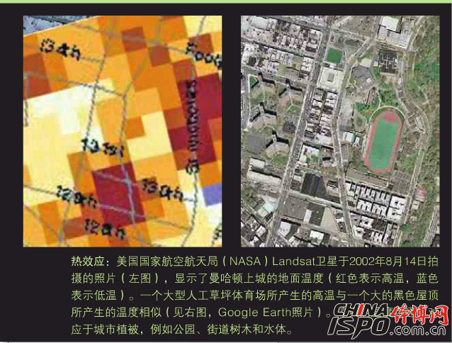 äººé€ è‰åªçš„â€œçƒ­å²›æ•ˆåº”â€