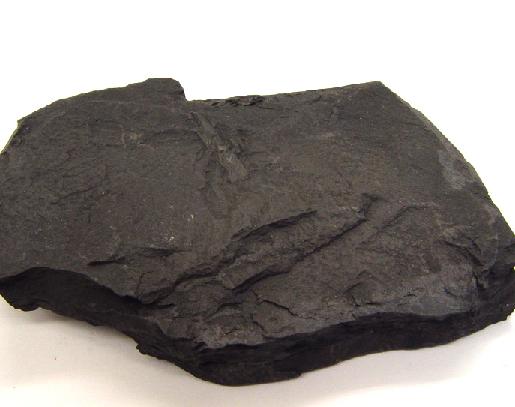 About shale About shale