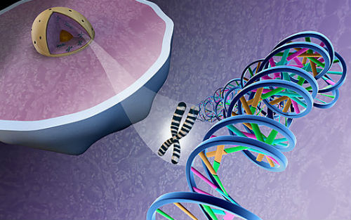 Shanghai Xinfan Bio-Invented New Gene Sequencing Technology Helps Rapid Diagnosis of Blood Cancer 上海信帆生物 æ¾³å‘æ˜Žæ–°åŸºå› æµ‹åºæŠ€æœ¯ 有助快速诊æ–血癌