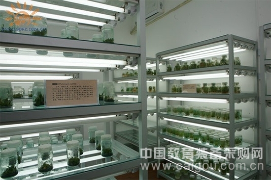 Plant Cultivation