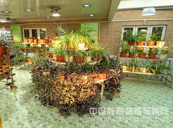 Soilless Cultivation