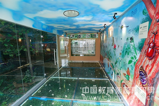 Specimen Exhibition